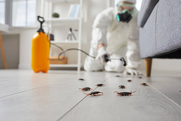 Commercial Kitchen Cockroach Control in Oak Ridge